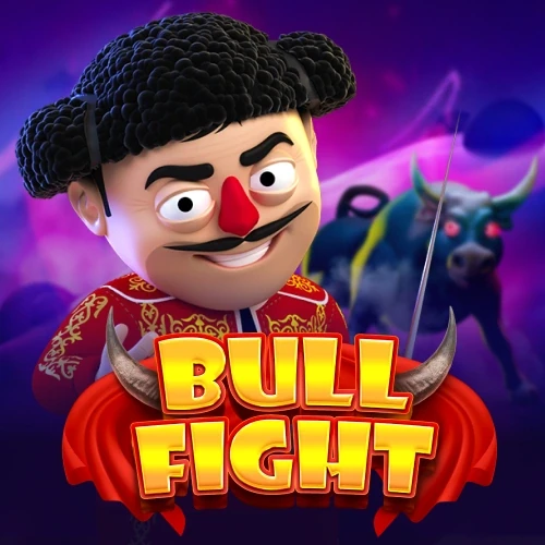 Bull Fight