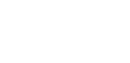 Twin
